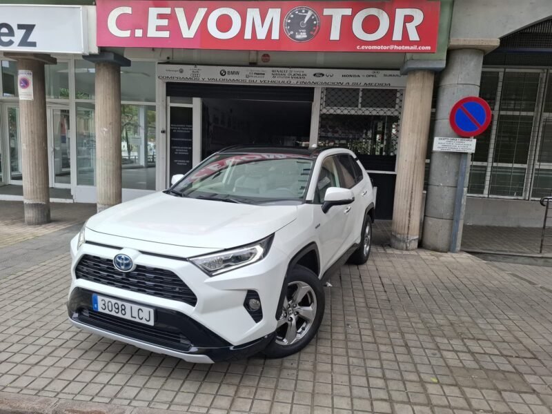 TOYOTA RAV4 LUXURY